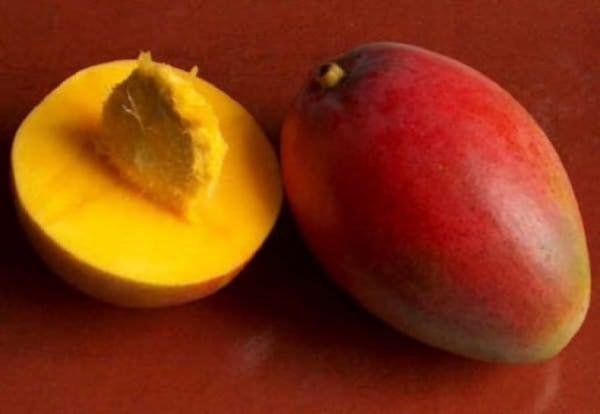 Как да се култивира манго от кости