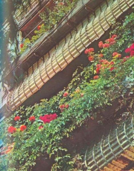Цъфтящите балкони