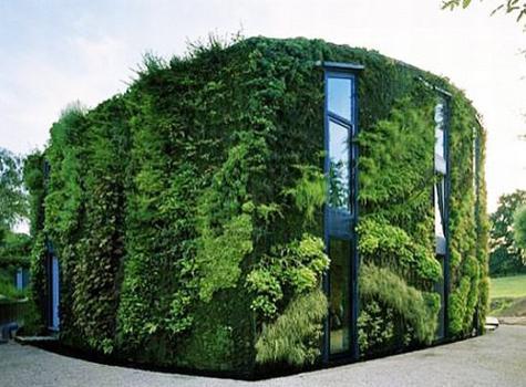 Живите зелени фасади