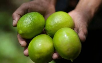 Лимон Доршапо