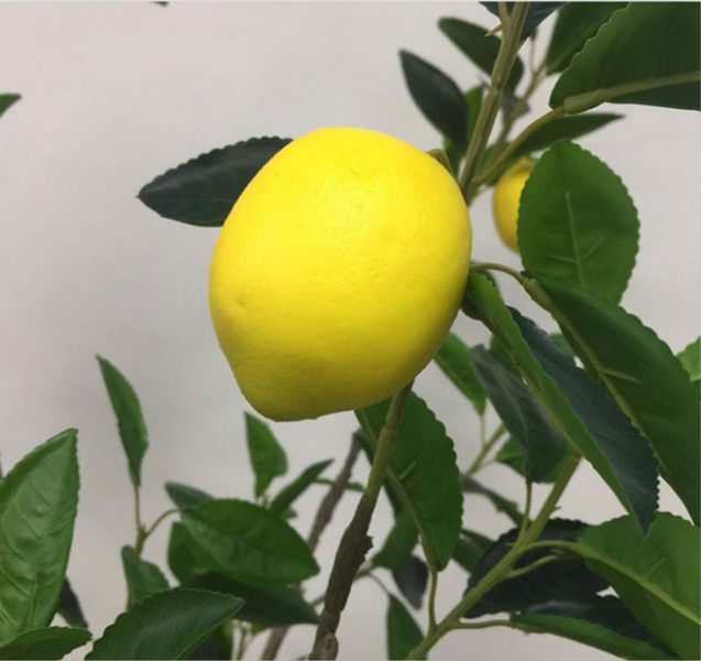 Лимон Фино