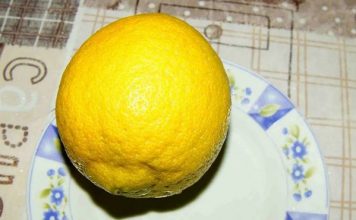 Лимон Барабанист