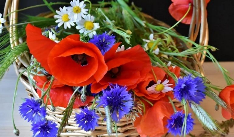 Сватбен букет от диви цветя: идеи за създаване, фото композиции